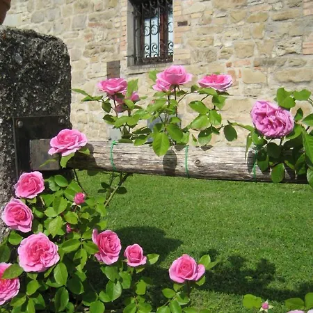 Agriturismo Belmonte 別荘