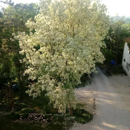 Agriturismo Belmonte Valfabbrica