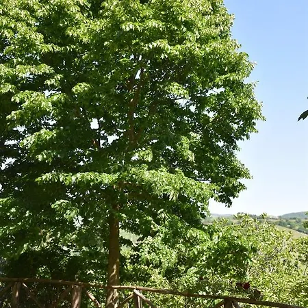 別荘 Agriturismo Belmonte Valfabbrica
