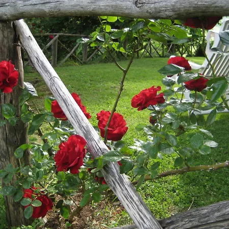 Holiday home Agriturismo Belmonte *