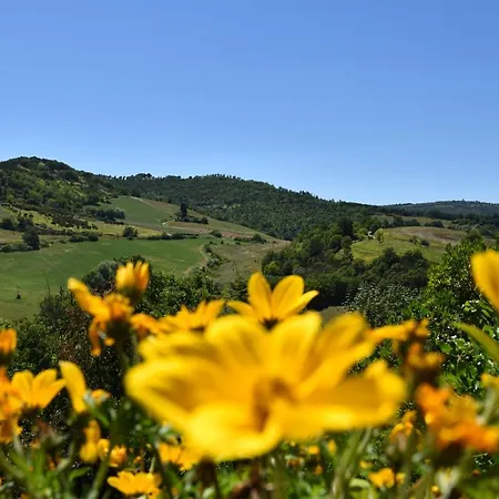 Agriturismo Belmonte *